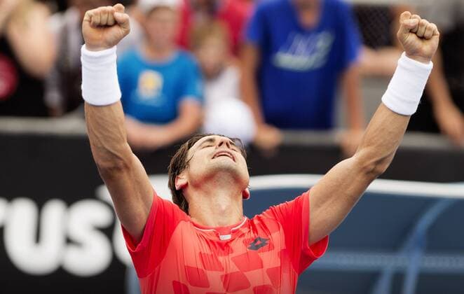 TENNIS - ATP Tennis Herren Australian Open 2015 MELBOURNE,AUSTRALIA,20.JAN.15 - TENNIS - ATP World Tour, Grand Slam, Australian Open. Image shows the rejoicing of David Ferrer (ESP).
