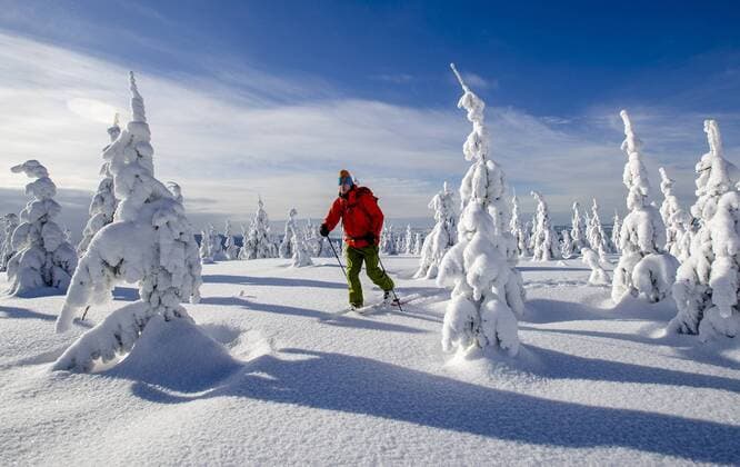 Ski mountaineering in Krkonose Mountains (Giant Mountains), Czech Republic, pictured on Thursday, February 5, 2015. (CTKxPhoto DavidxTanecek) CTKPhotoP201502050633101  TAD 009