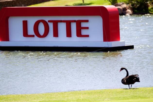 April 17, 2015 - A swan watches the golfers during the third round of the Lotte Championship presented by Hershey at Ko Olina Golf Club in Kapolei, HI LPGA Golf Damen Golf 2015: Lotte Championship APR 17 - ZUMAc04_
