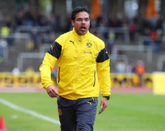 Samstag 03.05.2015, 3. Liga, Saison 2014 15 - 35. Spieltag im Dortmunder Stadion Rote Erde, BVB Borussia Dortmund II - VfB Stuttgart II, Trainer David Wagner (BVB II) erregt