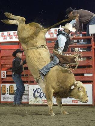 (150516) -- CLOVERDALE, Ty Smith of the United States competes in Bull Riding at the annual Cloverdale Professional Rodeo 2015 in Cloverdale, BC, Canada, May 15, 2015. The Cloverdale Rodeo was voted the Number One Performance Rodeo in North America by the Professional Rodeo Cowboy s Association in 1984. Today the Cloverdale Rodeo & Exhibition is the second largest community rodeo in Canada, attracting competitors and spectators worldwide. ) (SP)CANADA-CLOVERDALE-RODEO SergeixBachlakov 