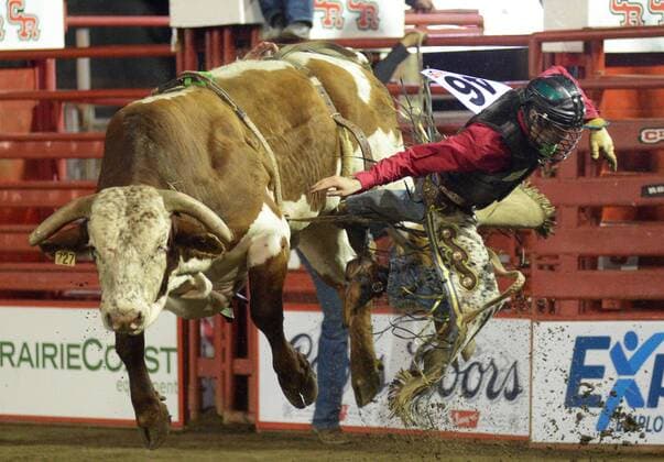(150516) -- CLOVERDALE, Howdy Cloud of the United States competes in Bull Riding at the annual Cloverdale Professional Rodeo 2015 in Cloverdale, BC, Canada, May 15, 2015. The Cloverdale Rodeo was voted the Number One Performance Rodeo in North America by the Professional Rodeo Cowboy s Association in 1984. Today the Cloverdale Rodeo & Exhibition is the second largest community rodeo in Canada, attracting competitors and spectators worldwide. ) (SP)CANADA-CLOVERDALE-RODEO SergeixBachlakov 