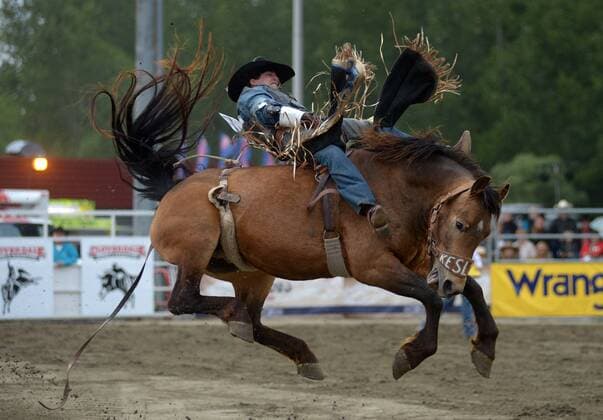 (150516) -- CLOVERDALE, Cole Goodine of Canada competes in Bareback Riding at the annual Cloverdale Professional Rodeo 2015 in Cloverdale, BC, Canada, May 15, 2015. The Cloverdale Rodeo was voted the Number One Performance Rodeo in North America by the Professional Rodeo Cowboy s Association in 1984. Today the Cloverdale Rodeo & Exhibition is the second largest community rodeo in Canada, attracting competitors and spectators worldwide. ) (SP)CANADA-CLOVERDALE-RODEO SergeixBachlakov 