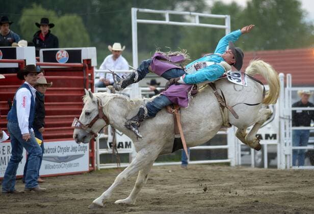(150516) -- CLOVERDALE, Jake Brown of the United States competes at the annual Cloverdale Professional Rodeo 2015 in Cloverdale, BC, Canada, May 15, 2015. The Cloverdale Rodeo was voted the Number One Performance Rodeo in North America by the Professional Rodeo Cowboy s Association in 1984. Today the Cloverdale Rodeo & Exhibition is the second largest community rodeo in Canada, attracting competitors and spectators worldwide. ) (SP)CANADA-CLOVERDALE-RODEO SergeixBachlakov 