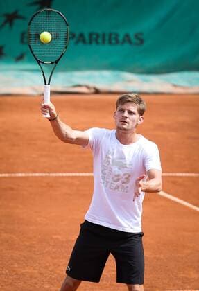 - PARIS, FRANCE: Belgian David Goffin pictured during a training session at the Roland Garros French Open tennis tournament, in Paris, France, Friday 29 May 2015. The Roland Garros Grand Slam takes place from 24 May to 07 June 2015. VIRGINIExLEFOUR  x04632863x