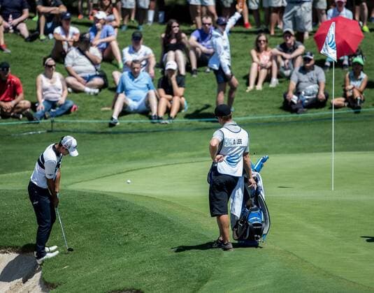 May 31, 2015: Danny Lee chips the ball on hole 5 during the fourth round of the AT&T Byron Nelson at TPC Four Seasons Resort in Irving, TX. GOLF: MAY 31 PGA Golf Herren - AT&T Byron Nelson Championship - Final Round Icon1505310194 EDITORIAL USE ONLY