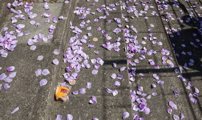 Berlin, Deutschland, 07.06.2015: Fußball Berlin-Liga 34. Spieltag Saison 2014 2015 - Tennis Borussia Berlin - Eintracht Mahlsdorf. Resten der Choreografie mit Konfettikanonen