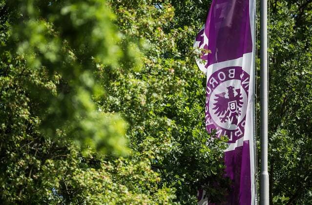 Berlin, Deutschland, 07.06.2015: Fußball Berlin-Liga 34. Spieltag Saison 2014 2015 - Tennis Borussia Berlin - Eintracht Mahlsdorf. Flagge von Tennis Borussia zwischen Baeumen im Mommsenstadion