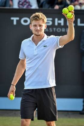 - ROSMALEN, NETHERLANDS: Belgian David Goffin celebrates after winning a tennis game between Belgian David Goffin and Luxembourgish Gilles Muller in the semifinals of the men s tournament at the Topshelf Open WTA Tennis Damen tennis tournament in Rosmalen, the Netherlands, Saturday 13 June 2015. LUCxCLAESSEN  x04642212x