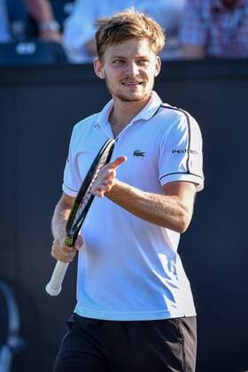 - ROSMALEN, NETHERLANDS: Belgian David Goffin celebrates after winning a tennis game between Belgian David Goffin and Luxembourgish Gilles Muller in the semifinals of the men s tournament at the Topshelf Open WTA Tennis Damen tennis tournament in Rosmalen, the Netherlands, Saturday 13 June 2015. LUCxCLAESSEN  x04642214x