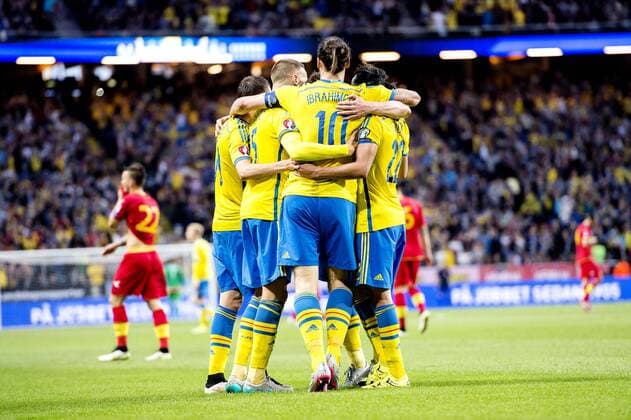 June 14, 2015 - Stockholm, Schweden - 150614 Schweden celebrating Zlatan Ibrahimovic Länderspiel Fussball EM Quali - Sweden vs Montenegro den 14 juni 2015 i Stockholm..Foto: MelixPeterssonxEllafi BILDBYRAN COP 162 News - June 14, 2015  - ZUMAb138