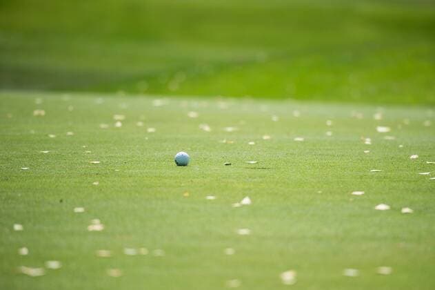 Aktuell Golf, Symbolfoto Muenchen Golfball auf dem Gruen, Stock Copyright: Vallejos xEibner-Pressefoto EP_avs