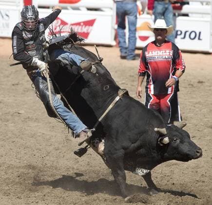 Calgary, Alberta; Canada--- After completing his eight second ride cowboy Aaron Roy (from Yellow Grass, Saskatchewan) jumps off a bull called Shots Fired in the Bull Riding event during the rodeo at Calgary Stampede. digital photo by Larry MacDougal