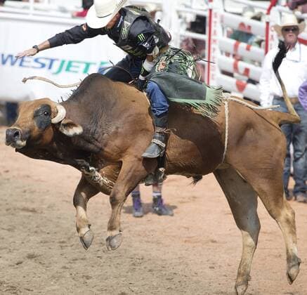 Calgary, Alberta; Canada--- Cowboy J.B Mauney (from Statesville, North Carolina) wins the daily Bull Riding event on a bull called Radioactive during the rodeo at the Calgary Stampede. digital photo by Larry MacDougal