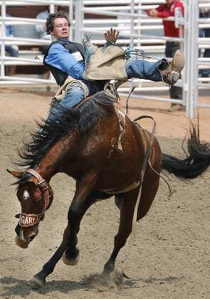 Calgary, Alberta; Canada--- Young cowboy Danten Metzger (from Carbon, Alberta) on a horse called Xcess Soot in the Novice Bareback Riding event during the rodeo at Calgary Stampede. digital photo by Larry MacDougal