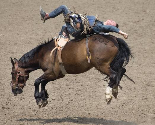 Calgary, Alberta; Canada--- Cowboy Orin Larsen (from Inglis, Manitoba) rides a horse called Mile Away in the Bareback Bronc Riding event during the rodeo at Calgary Stampede. digital photo by Larry MacDougal
