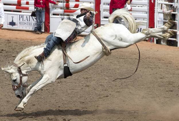 Calgary, Alberta; Canada--- Cowboy Kaycee Feild (from Spanish Fork, Utah) rides a horse called Blue Wings in the Bareback Riding even during the rodeo at Calgary Stampede. digital photo by Larry MacDougal
