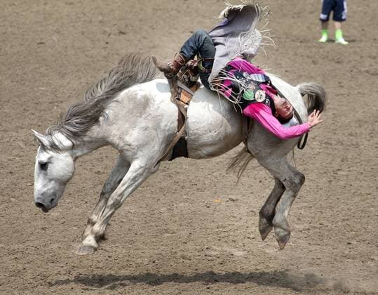 Calgary, Alberta; Canada--- Cowboy Caleb Bennett (from Morgan, Utah) rides a horse called Bad Habits in the Bareback Riding event during the rodeo at Calgary Stampede. digital photo by Larry MacDougal