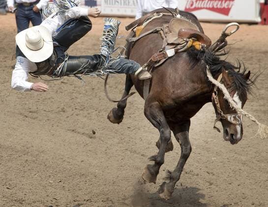 Calgary, Alberta; Canada--- Cowboy Spencer Wright (from Milford, Utah) is bucked off a horse called Country Trail in the Saddle Bronc Riding event during the rodeo at Calgary Stampede. digital photo by Larry MacDougal