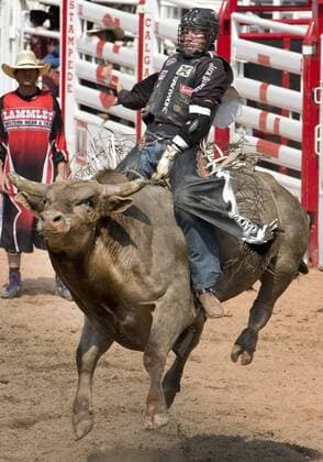 Calgary, Alberta; Canada--- Cowboy Beau Hill (from West Glacier, Montana) rides a bull called Conviction in the Bull Riding event during the rodeo at Calgary Stampede. digital photo by Larry MacDougal