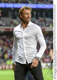 RENARD Herve - coach (Losc) FOOTBALL : Lille vs Bordeaux - Ligue 1 - 23 08 2015 JBAutissier 