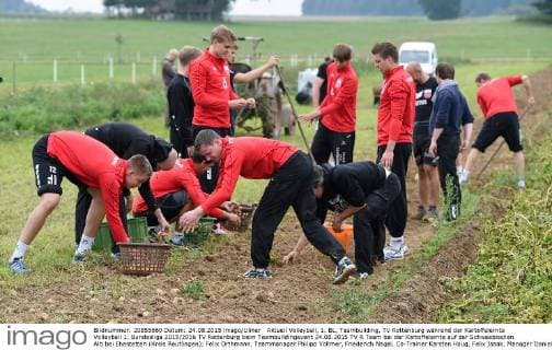 Aktuell Volleyball, 1. BL, Teambuilding, TV Rottenburg während der Kartoffelernte Volleyball 1. Bundesliga 2015 2016 TV Rottenburg beim Teambuildingevent 24.08.2015 TV R Team bei der Kartoffelernte auf der Schwaebischen Alb bei Ehestetten (Kreis Reutlingen); Felix Orthmann, Teammanager Philipp Vollmer, Friederich Nagel, Co-Trainer Karsten Haug, Felix Isaak, Manager Daniel Mey und Sven Metzger (v.li.) 