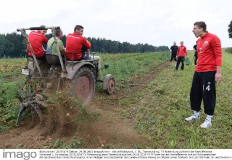 Aktuell Volleyball, 1. BL, Teambuilding, TV Rottenburg während der Kartoffelernte Volleyball 1. Bundesliga 2015 2016 TV Rottenburg beim Teambuildingevent 24.08.2015 TV R Team bei der Kartoffelernte auf der Schwaebischen Alb bei Ehestetten (Kreis Reutlingen); Sven Metzger (re) beobachtet den Landwirt Klaus Koenig am Steuer eines Traktors mit Lars Wilmsen (li) und Federico Cipollone 