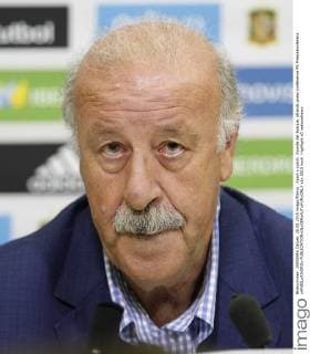 Spain s coach, Vicente del Bosque, attends press conference PK Pressekonferenz xANGELxRIVEROx 