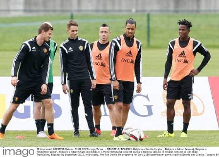 - BRUSSELS, BELGIUM: Belgium s Jan Vertonghen, Belgium s Adnan Januzaj, Belgium s Radja Nainggolan, Belgium s Nacer Chadli and Belgium s Michy Batshuayi pictured during a training session of Belgian national soccer team Red Devils, Tuesday 01 September 2015, in Brussels. The Red Devils are preparing for Euro 2016 qualification games against Bosnia and Cyprus. Tuesday BRUNOxFAHY  x04691628x