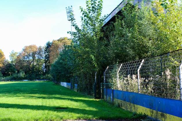 Fußball, Stadiongeschichte 1. FC Union Solingen Solingen Vorderansicht der alten Zweitliga-Trinuene - Baeume haben die Stehraenge in Besitz genommen wo einst Zuschauer Bundesliga sahen Lost Ground: Stadion am Hermann-Loens-Weg, Solingen, 29.09.2013 Copyright: Deutzmannx xEibner-Pressefoto EP_cdn