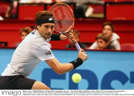 Wien 25.10.2015, Stadthalle, Wien, AUT, ATP Tennis Herren Tour, Erste Bank Open, Finale, im Bild David Ferrer (ESP) David Ferrer of Spain in action during the final match of Erste Bank Open of ATP Tour at the Stadthalle in Wien, Austria on 2015 10 25.  EP_tha  