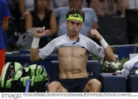 BNP Paribas Masters Bercy 2015, David Ferrer, wins against John Isner 