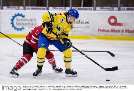 Eishockey, Damen, Länderspiel, Schweden - Kanada in Sundsvall 151107 Sveriges Emilia Ramboldt under ishockeymatchen mellan Sverige och Kanada den 7 november 2015 i Sundsvall.  Copyright: NilsxJakobsson BB151107NJ012