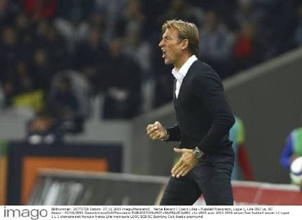 Herve Renard ( Coach Lille) - Fussball Frankreich, Ligue 1, Lille OSC vs. SC Bastia - 07 11 2015 GwendolineLeGoff Panoramic 