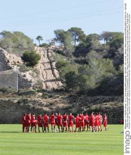 SOCCER - AUT vs SUI, friendly match, preview ALICANTE,SPAIN,10.NOV.15 - SOCCER - OEFB international match Länderspiel Austria vs Switzerland, friendly match, preview, team training camp, training team AUT. Image shows the team of AUT. Keywords: overview. GEPAxpictures xChristianxOrt