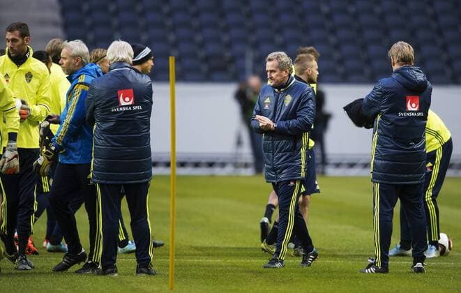 151111 Coach Erik Hamren - Fussball, Training Nationalteam Schweden in Stockholm.  JOELxMARKLUND BB151111JM019