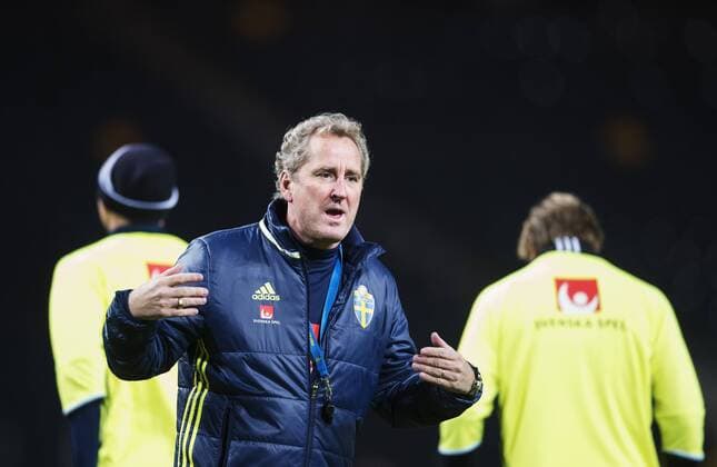 151113 Förbundskapten Erik Hamr?n under Sveriges fotbollslandslags träning den 13 november 2015 i Stockholm.  Copyright: JOELxMARKLUND BB151113JM003