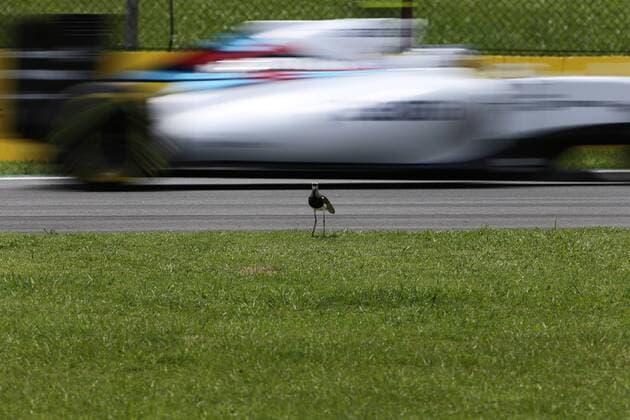 Brazilian Grand Prix, Sao Paulo 12 - 15 November 2015 14.11.2015 - Free Practice 3, Valtteri Bottas (FIN) Williams F1 Team FW37 
