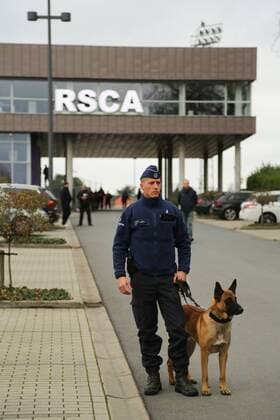 - BRUSSELS, BELGIUM: Illustration picture shows a policeman and a police dog at a training session of the Red Devils, the Belgian national soccer team, Sunday 15 November 2015, in Brussels. Next Tuesday the team plays against Spain in preparation of Euro2016. BRUNOxFAHY  x04740866x