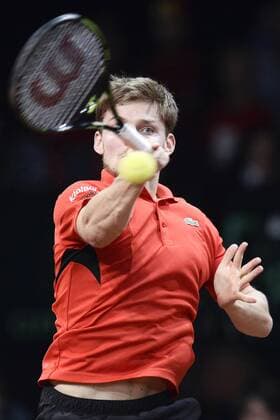 - GENT, BELGIUM: Belgian David Goffin pictured in action during the fourth game in the Davis Cup tennis World Group final between Belgium and Great Britain, a game of Belgian David Goffin versus Britain s Andy Murray, Sunday 29 November 2015 at Flanders Expo in Gent. DIRKxWAEM  x04748526x