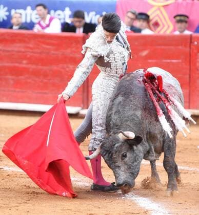Spanish Alejandro Talavante fights with his bull during a bullfight of the bullfighting season of Plaza de Toros in Mexico City, Mexico on 10 January 2016. BULLFIGHTING SEASON IN MEXICO !ACHTUNG: NUR REDAKTIONELLE NUTZUNG!  MEX100 20160111-635880902552731956