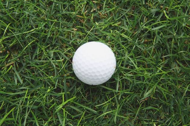Golf ball on grass  (hlng003366)