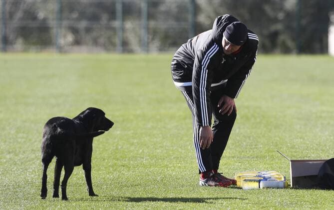 SOCCER - BL, Rapid, training camp SIDE,TURKEY,25.JAN.16 - SOCCER - tipico Bundesliga, SK Rapid Wien, training camp. Image shows a dog and assistant coach Carsten Jancker (Rapid). Keywords: Wien Energie. GEPAxpictures xPhilippxBrem