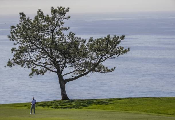 January 28, 2016: Danny Lee stands on the 7th fairway of the North Course in front of a Torrey pine overlooking the Pacific Ocean during the first round of the Farmers Insurance Open at Torrey Pines Golf Course in San Diego, California. PGA Golf Herren 2016: Farmers Insurance Open JAN 28 - ZUMAc04_