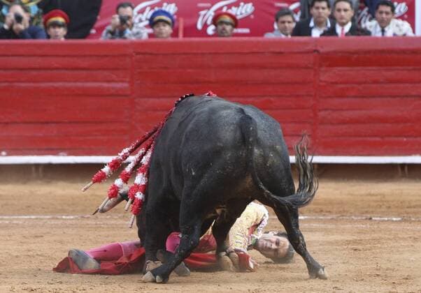 Spanish bullfighter Jose Tomas gets hit by his first bull, 522 kgs Bellotero , at the bullring in Mexico City on 31 January 2016. EFE Mario Guzman BULLFIGHTING !ACHTUNG: NUR REDAKTIONELLE NUTZUNG!  MEX10 20160201-635899112643233287