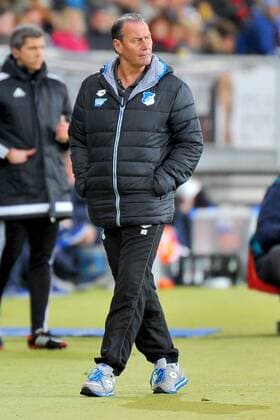 Trainer Huub STEVENS (TSG 1899 Hoffenheim). Deutschland, Sinsheim: Fussball, Bundesliga: TSG 1899 Hoffenheim vs. SV Darmstadt 98 am 07.02.2016, Rhein-Neckar-Arena.