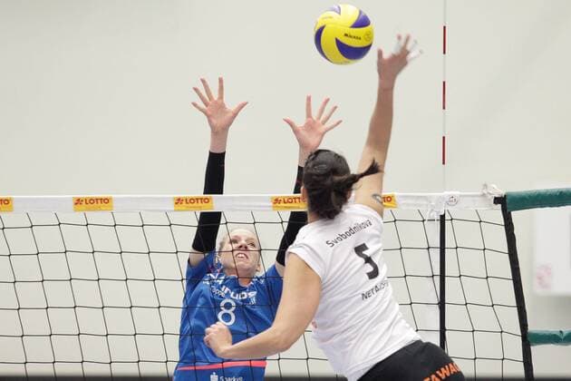 Volleyball 1. Bundesliga Frauen Saison 2015 2016 23. Spieltag am Freitag, 26. Februar 2016 in der CU Arena in Hamburg: VT Aurubis Hamburg - Ladies in Black Aachen v.l. Jana Franziska Poll ( Hamburg ), Ivona Svobodnikova ( Aachen ) VT Aurubis Hamburg - Ladies in Black Aachen