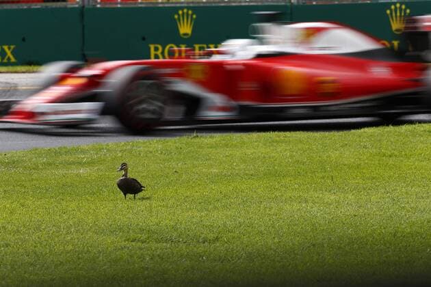 Australian Grand Prix, Melbourne 17 - 20 March 2016 19.03.2016 - Free Practice 3, Sebastian Vettel (GER) Scuderia Ferrari SF16-H 