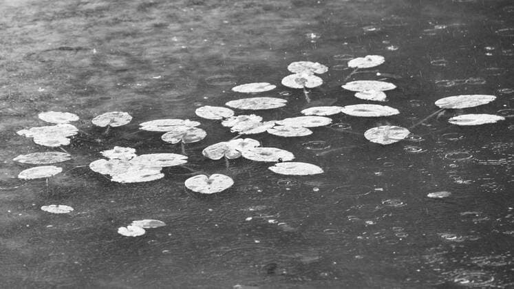 March 19, 2016: The rain has started during the third round of the Arnold Palmer Invitational in Orlando, FL. (Photograph by Roy K. Miller Icon Sportswire) GOLF: MAR 19 PGA Golf Herren - Arnold Palmer Invitational presented by MasterCard - Third Round Icon160319103 EDITORIAL USE ONLY