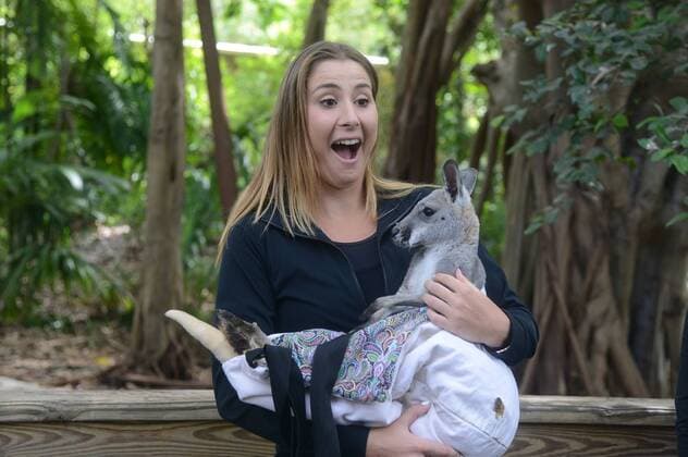 March 22, 2016 - Miami, Florida, United States - BELINDA BENCIC poses for a picture at the Jungle Island zoological Park in Miami Florida Tennis 2016 - Miami Open - Day 2 - ZUMAl132